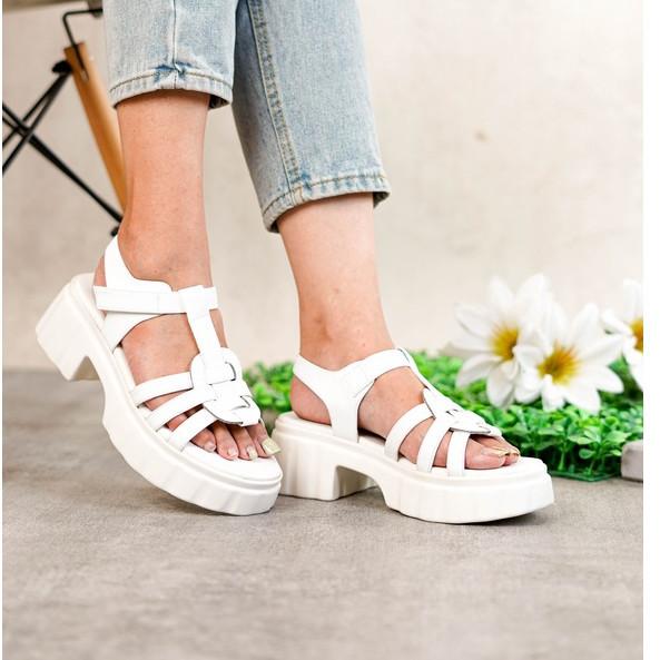 Thumbnail gambar ke-1 produk POLLUX BOLD WPOJV 04 - SEPATU HEELS | HEELS WANITA | SANDAL HEELS